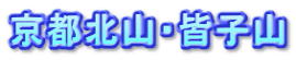 skREFqR