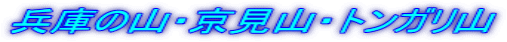 ɂ̎REREgKR